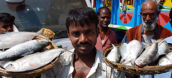 Fischverkäufer