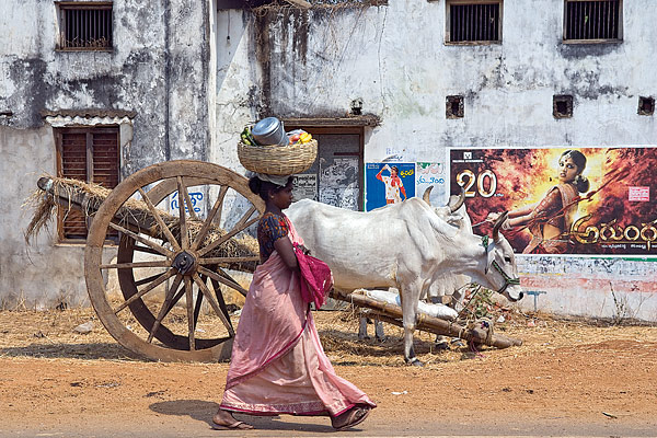 streetinindia